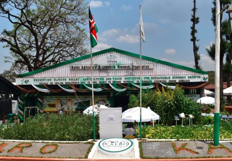 Kenya Agricultural Research Institute - Headquarters, Nairobi, Kenya, Kenya